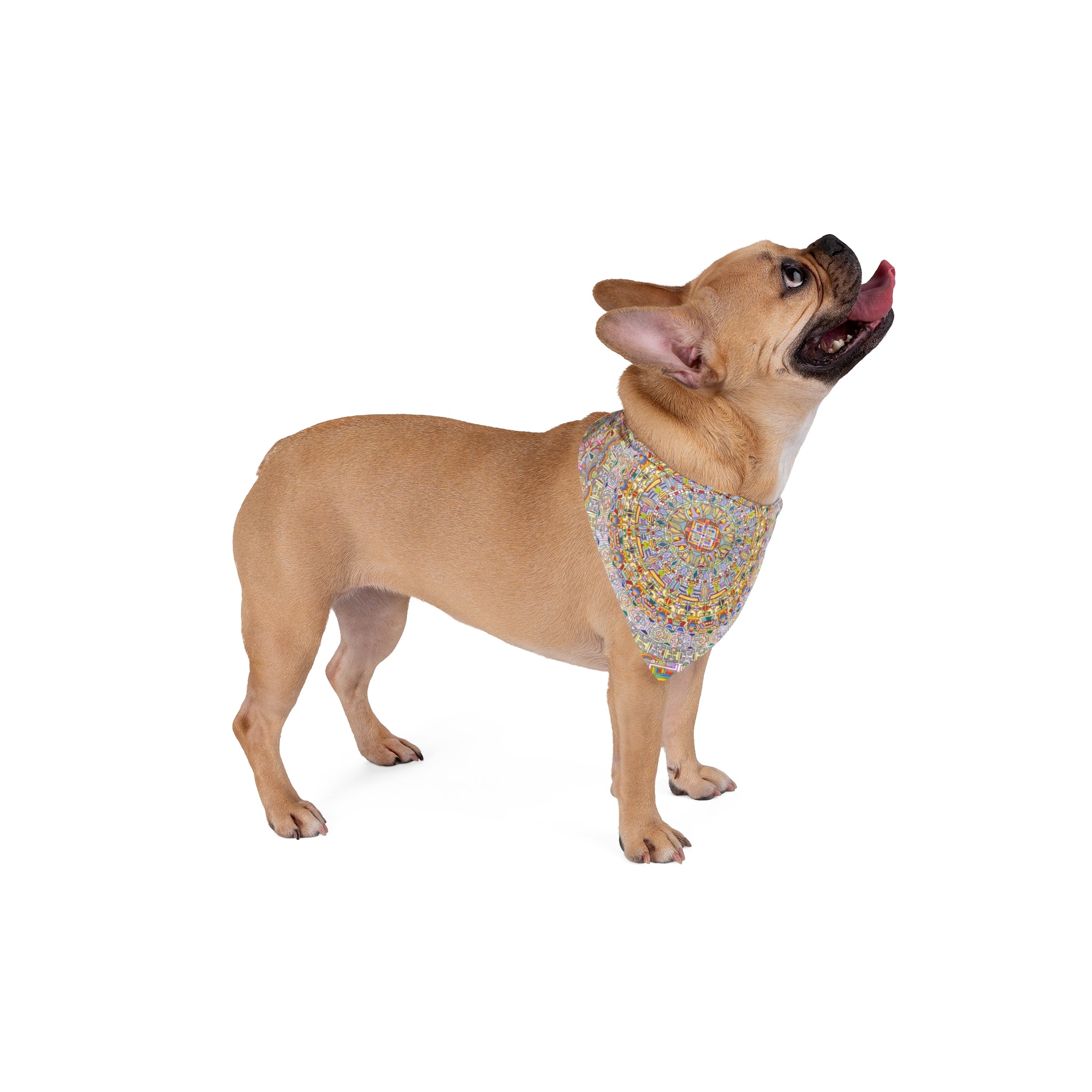Hand Drawn Mandala Mosaic Pet Bandana — Pastel Floral Dog & Cat Accessory
